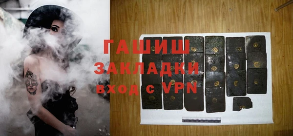 стаф Касимов