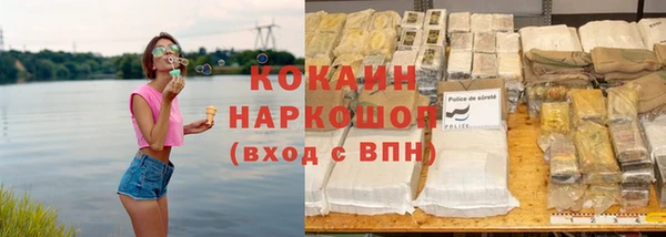 стаф Касимов