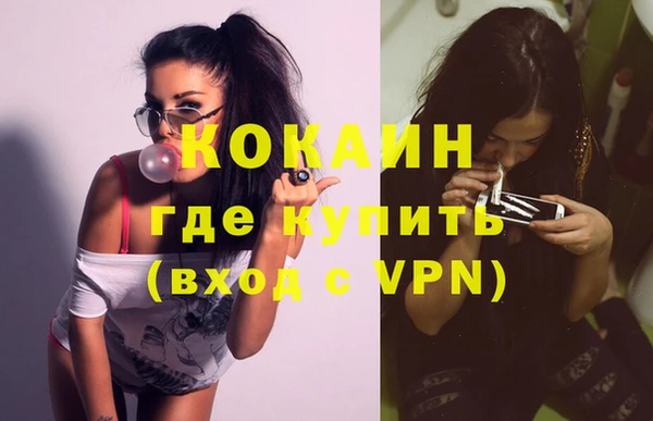 стаф Касимов