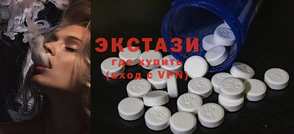 стаф Касимов