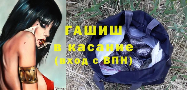 стаф Касимов