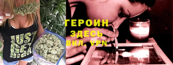 стаф Касимов