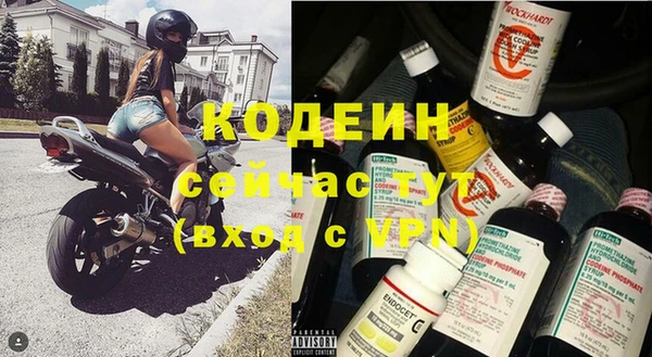 стаф Касимов
