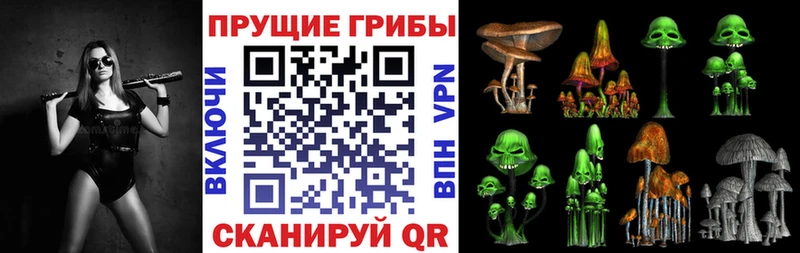 Купить  Короча  Псилоцибиновые грибы MAGIC MUSHROOMS 