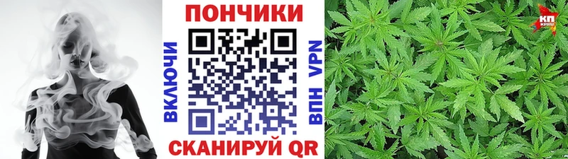 Купить  Короча  Шишки марихуана индика 